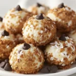 Plate of no bake Moose Farts cookies, creamy coconut dessert balls rolled in crumbs and topped with chocolate chips, easy Canadian treat for parties
